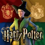 Harry Potter Hogwarts Mystery